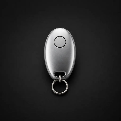 Backup Key Fob